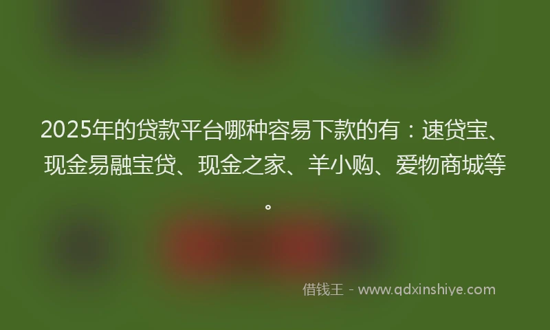 2025年的贷款平台哪种容易下款的有：速贷宝、现金易融宝贷、现金之家、羊小购、爱物商城等。