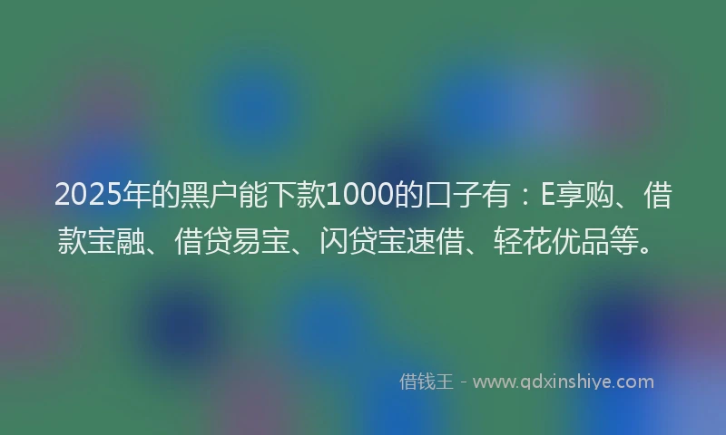 2025年的黑户能下款1000的口子有：E享购、借款宝融、借贷易宝、闪贷宝速借、轻花优品等。