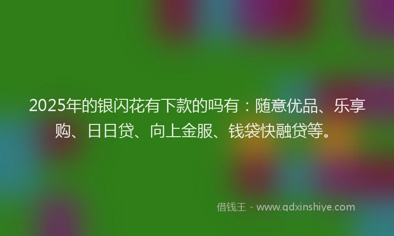 2025年的银闪花有下款的吗有：随意优品、乐享购、日日贷、向上金服、钱袋快融贷等。