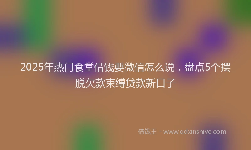 2025年热门食堂借钱要微信怎么说，盘点5个摆脱欠款束缚贷款新口子