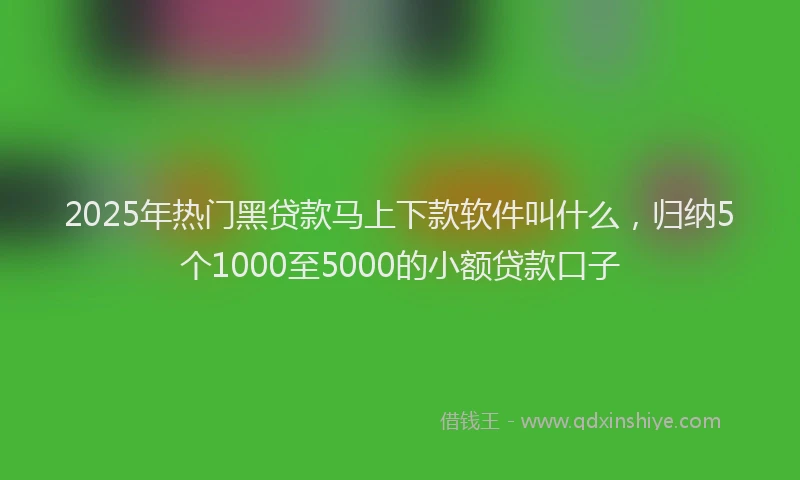2025年热门黑贷款马上下款软件叫什么，归纳5个1000至5000的小额贷款口子