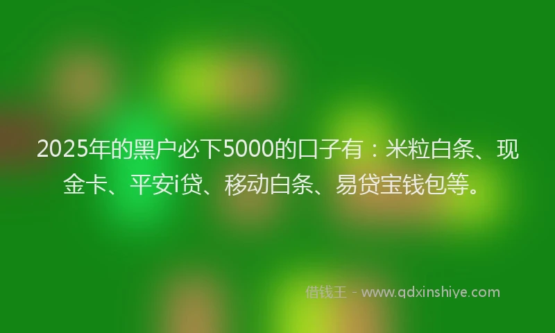 2025年的黑户必下5000的口子有：米粒白条、现金卡、平安i贷、移动白条、易贷宝钱包等。