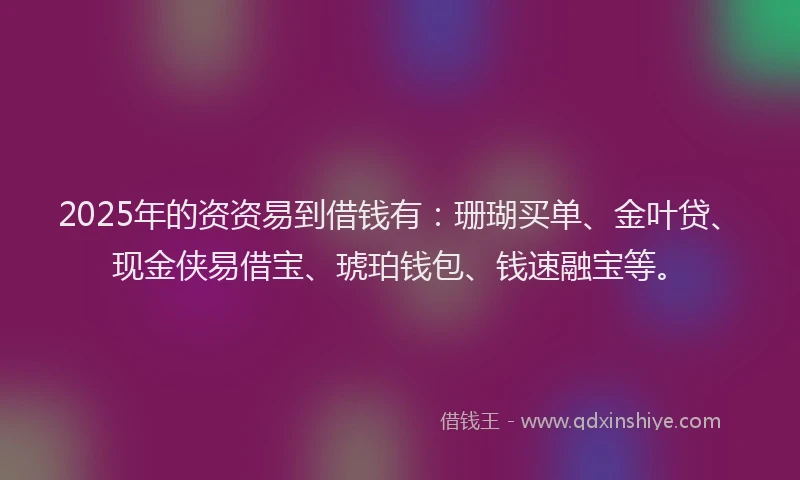 2025年的资资易到借钱有：珊瑚买单、金叶贷、现金侠易借宝、琥珀钱包、钱速融宝等。