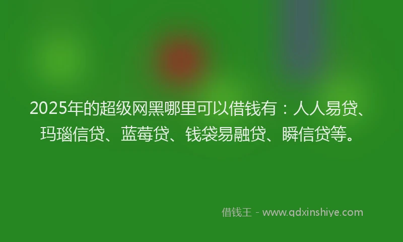 2025年的超级网黑哪里可以借钱有：人人易贷、玛瑙信贷、蓝莓贷、钱袋易融贷、瞬信贷等。