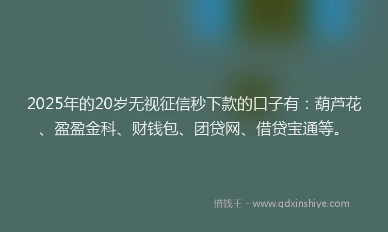 2025年的20岁无视征信秒下款的口子有：葫芦花、盈盈金科、财钱包、团贷网、借贷宝通等。