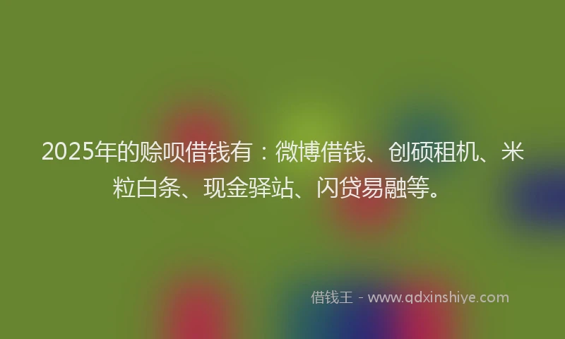 2025年的赊呗借钱有：微博借钱、创硕租机、米粒白条、现金驿站、闪贷易融等。