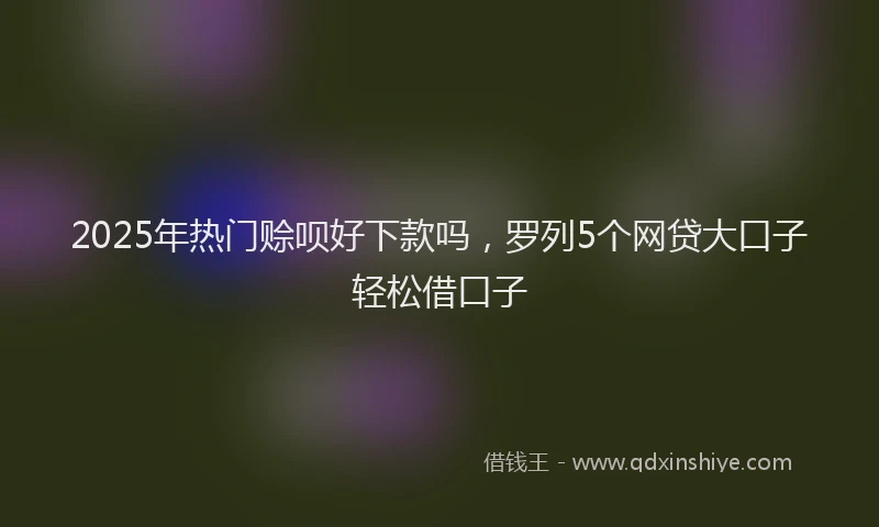 2025年热门赊呗好下款吗，罗列5个网贷大口子轻松借口子