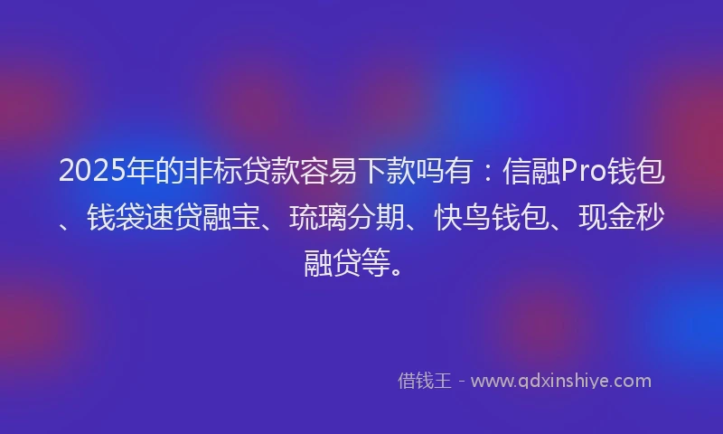 2025年的非标贷款容易下款吗有：信融Pro钱包、钱袋速贷融宝、琉璃分期、快鸟钱包、现金秒融贷等。