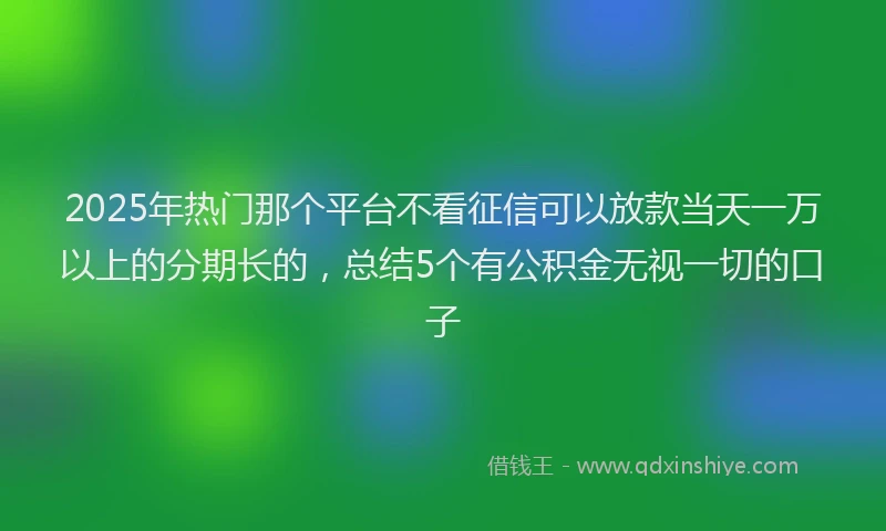 2025年热门那个平台不看征信可以放款当天一万以上的分期长的，总结5个有公积金无视一切的口子