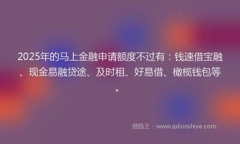 2025年的马上金融申请额度不过有：钱速借宝融、现金易融贷途、及时租、好易借、橄榄钱包等。