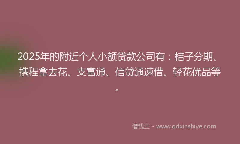 2025年的附近个人小额贷款公司有：桔子分期、携程拿去花、支富通、信贷通速借、轻花优品等。