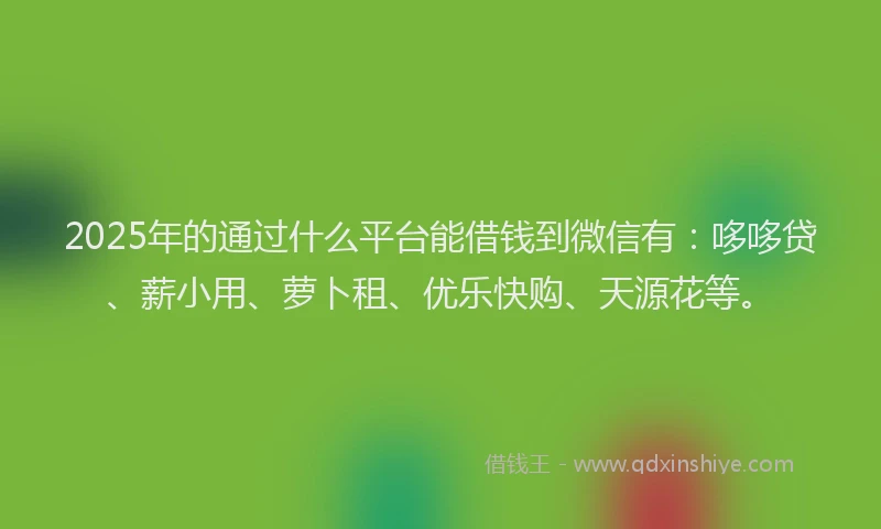 2025年的通过什么平台能借钱到微信有：哆哆贷、薪小用、萝卜租、优乐快购、天源花等。