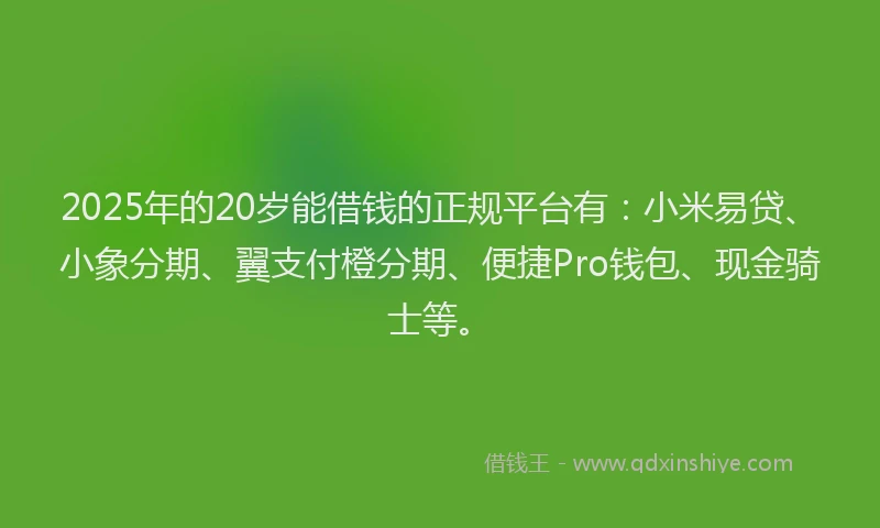 2025年的20岁能借钱的正规平台有：小米易贷、小象分期、翼支付橙分期、便捷Pro钱包、现金骑士等。