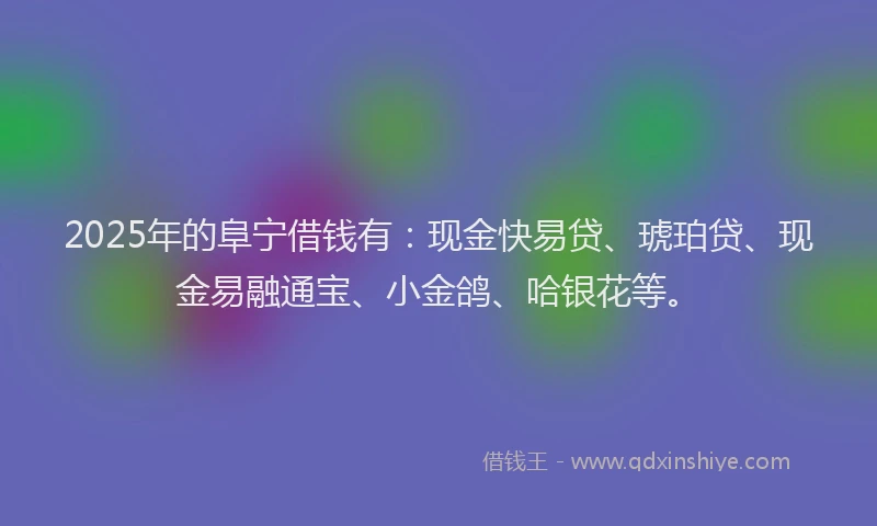 2025年的阜宁借钱有：现金快易贷、琥珀贷、现金易融通宝、小金鸽、哈银花等。