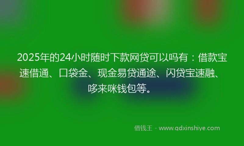 2025年的24小时随时下款网贷可以吗有：借款宝速借通、口袋金、现金易贷通途、闪贷宝速融、哆来咪钱包等。