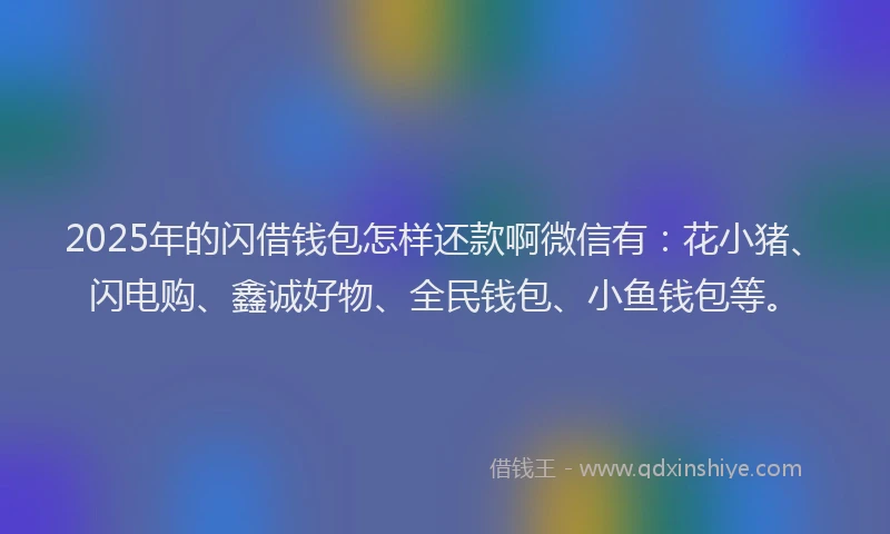 2025年的闪借钱包怎样还款啊微信有：花小猪、闪电购、鑫诚好物、全民钱包、小鱼钱包等。