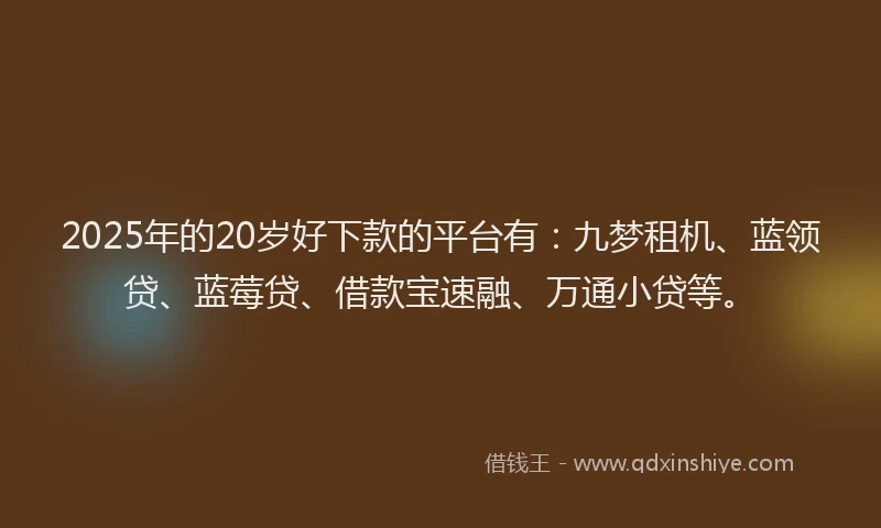 2025年的20岁好下款的平台有：九梦租机、蓝领贷、蓝莓贷、借款宝速融、万通小贷等。