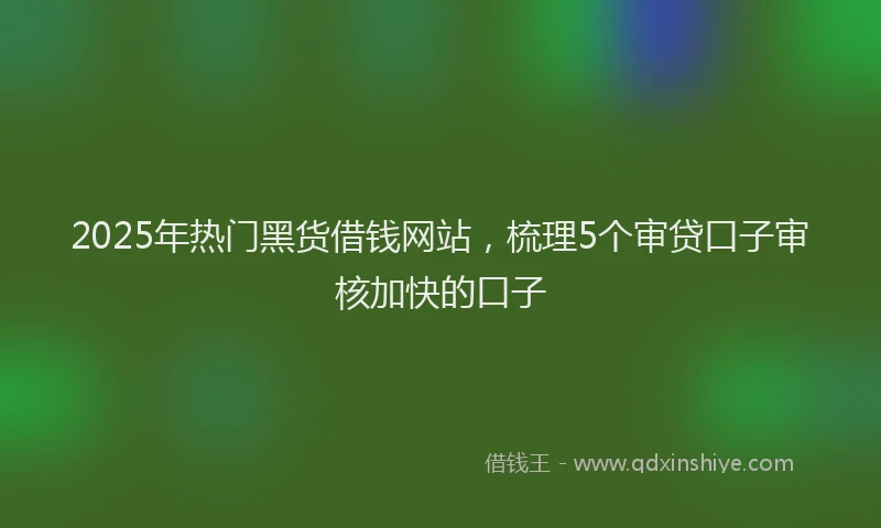2025年热门黑货借钱网站，梳理5个审贷口子审核加快的口子