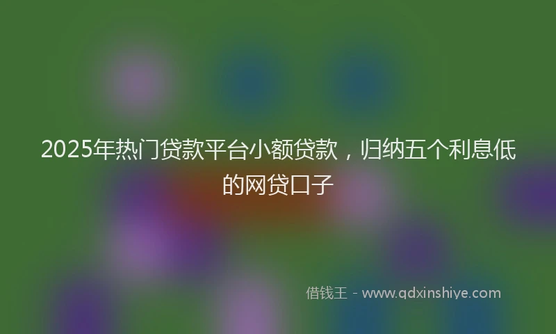 2025年热门贷款平台小额贷款，归纳五个利息低的网贷口子