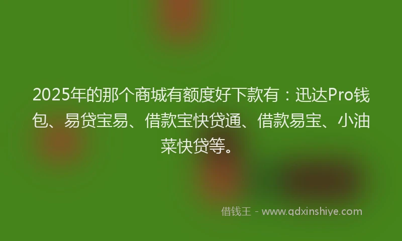 2025年的那个商城有额度好下款有：迅达Pro钱包、易贷宝易、借款宝快贷通、借款易宝、小油菜快贷等。