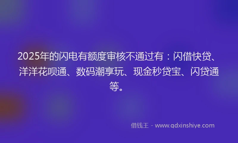 2025年的闪电有额度审核不通过有：闪借快贷、洋洋花呗通、数码潮享玩、现金秒贷宝、闪贷通等。