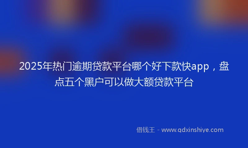 2025年热门逾期贷款平台哪个好下款快app，盘点五个黑户可以做大额贷款平台