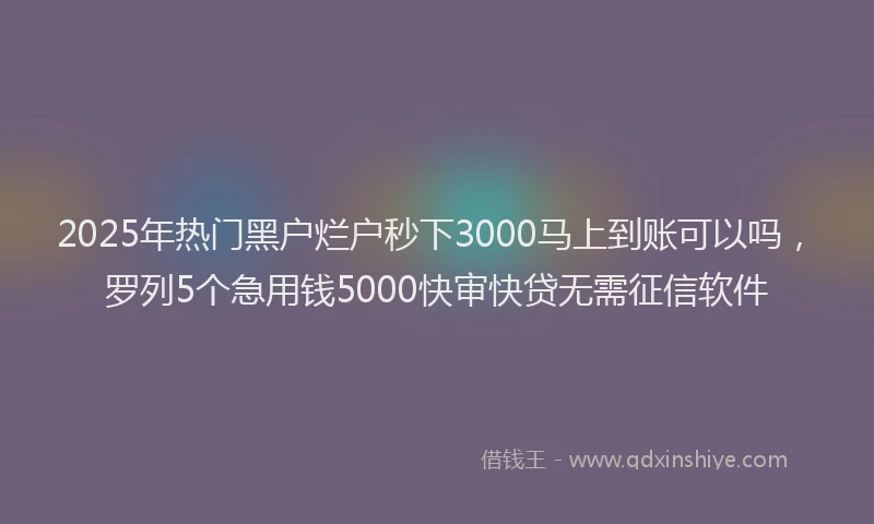 2025年热门黑户烂户秒下3000马上到账可以吗，罗列5个急用钱5000快审快贷无需征信软件