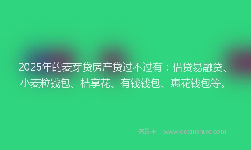 2025年的麦芽贷房产贷过不过有：借贷易融贷、小麦粒钱包、桔享花、有钱钱包、惠花钱包等。