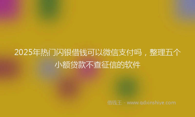 2025年热门闪银借钱可以微信支付吗，整理五个小额贷款不查征信的软件