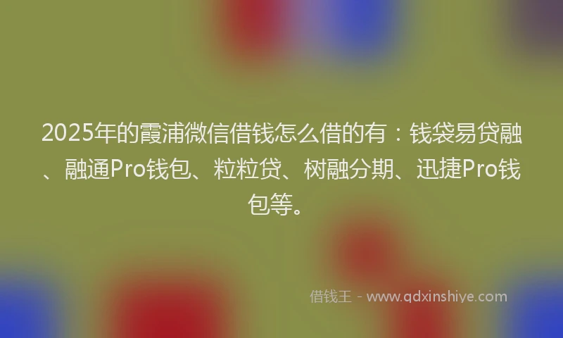 2025年的霞浦微信借钱怎么借的有：钱袋易贷融、融通Pro钱包、粒粒贷、树融分期、迅捷Pro钱包等。