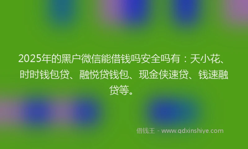 2025年的黑户微信能借钱吗安全吗有：天小花、时时钱包贷、融悦贷钱包、现金侠速贷、钱速融贷等。