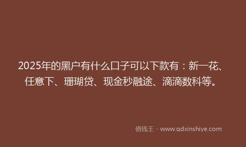 2025年的黑户有什么口子可以下款有：新一花、任意下、珊瑚贷、现金秒融途、滴滴数科等。