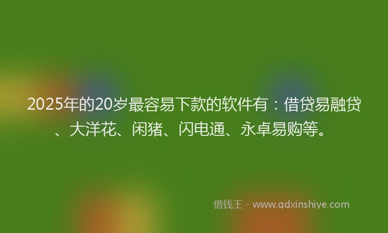 2025年的20岁最容易下款的软件有：借贷易融贷、大洋花、闲猪、闪电通、永卓易购等。