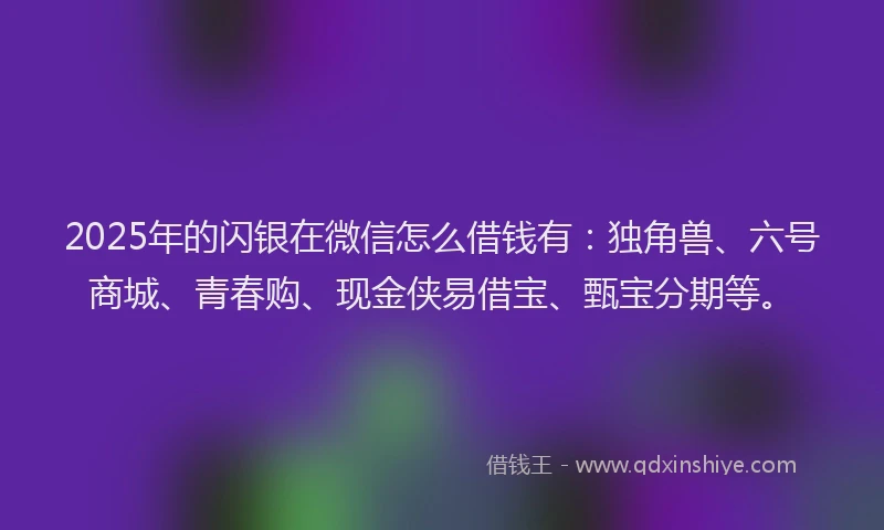 2025年的闪银在微信怎么借钱有：独角兽、六号商城、青春购、现金侠易借宝、甄宝分期等。