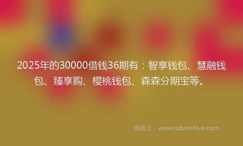 2025年的30000借钱36期有：智享钱包、慧融钱包、臻享购、樱桃钱包、森森分期宝等。