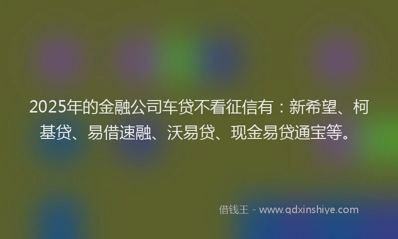 2025年的金融公司车贷不看征信有：新希望、柯基贷、易借速融、沃易贷、现金易贷通宝等。
