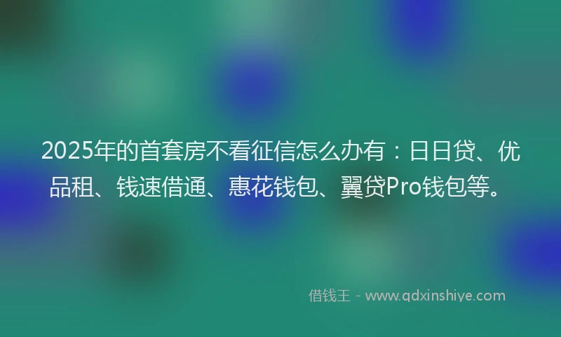 2025年的首套房不看征信怎么办有：日日贷、优品租、钱速借通、惠花钱包、翼贷Pro钱包等。