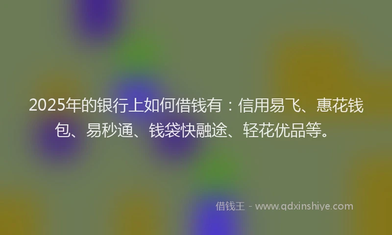 2025年的银行上如何借钱有：信用易飞、惠花钱包、易秒通、钱袋快融途、轻花优品等。