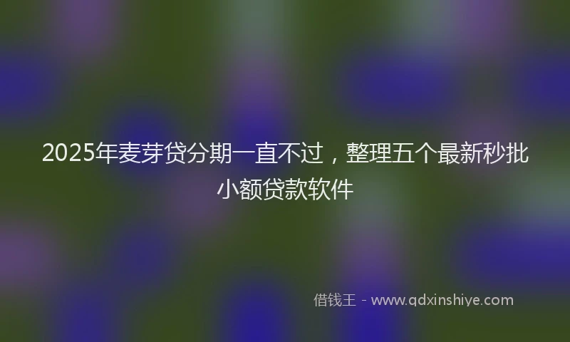 2025年麦芽贷分期一直不过，整理五个最新秒批小额贷款软件