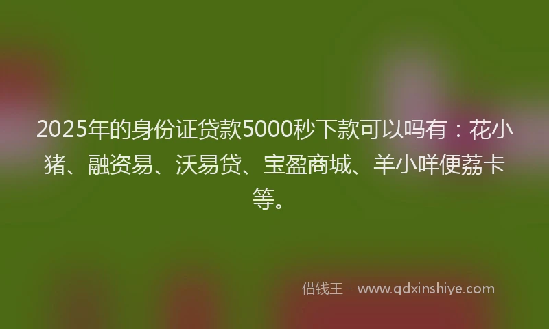 2025年的身份证贷款5000秒下款可以吗有：花小猪、融资易、沃易贷、宝盈商城、羊小咩便荔卡等。