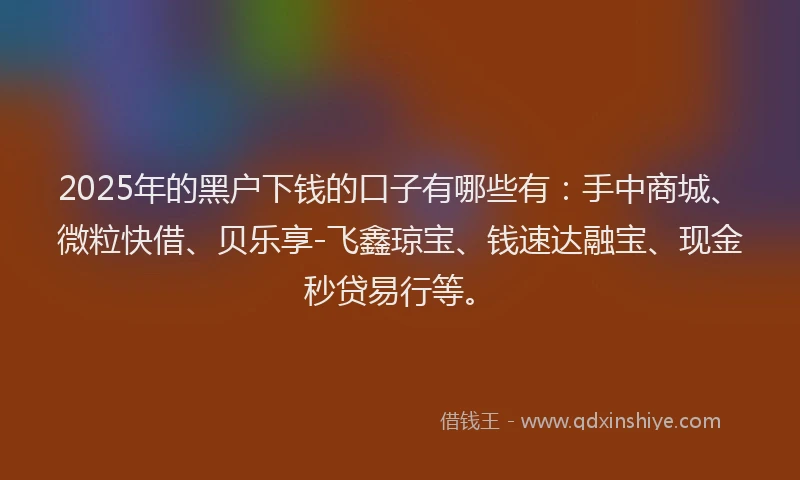 2025年的黑户下钱的口子有哪些有：手中商城、微粒快借、贝乐享-飞鑫琼宝、钱速达融宝、现金秒贷易行等。