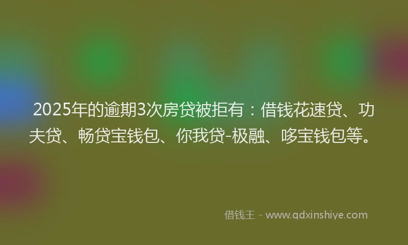 2025年的逾期3次房贷被拒有：借钱花速贷、功夫贷、畅贷宝钱包、你我贷-极融、哆宝钱包等。