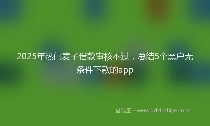 2025年热门麦子借款审核不过，总结5个黑户无条件下款的app