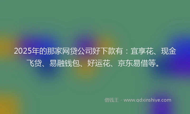 2025年的那家网贷公司好下款有：宜享花、现金飞贷、易融钱包、好运花、京东易借等。