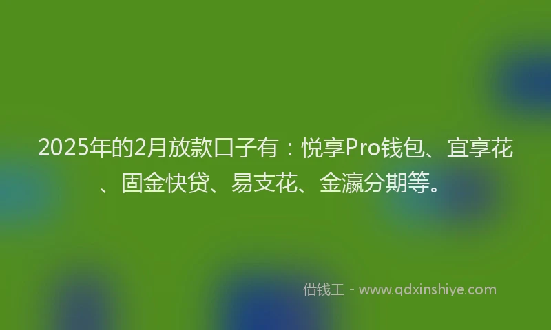 2025年的2月放款口子有：悦享Pro钱包、宜享花、固金快贷、易支花、金瀛分期等。