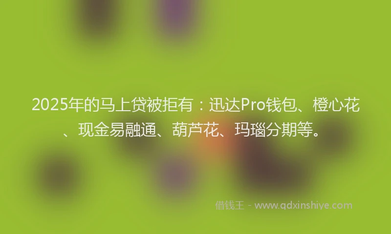 2025年的马上贷被拒有：迅达Pro钱包、橙心花、现金易融通、葫芦花、玛瑙分期等。
