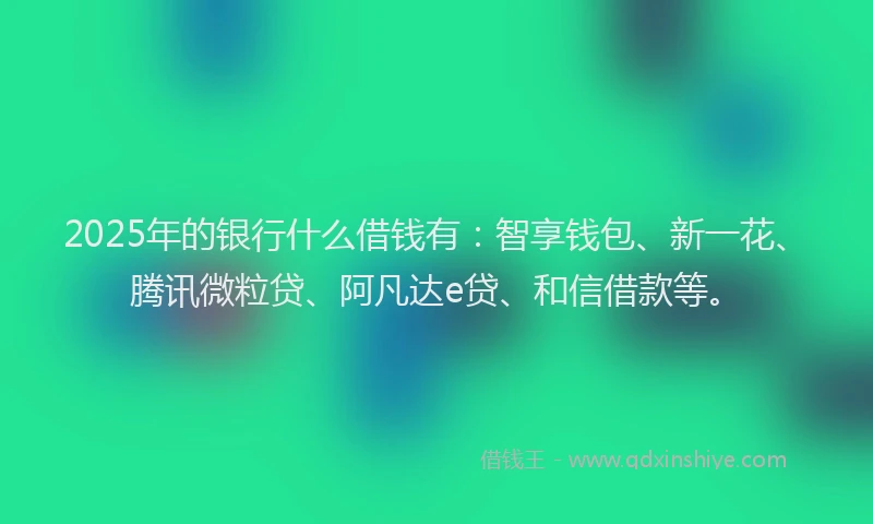 2025年的银行什么借钱有：智享钱包、新一花、腾讯微粒贷、阿凡达e贷、和信借款等。
