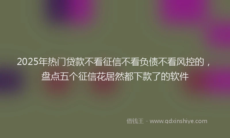 2025年热门贷款不看征信不看负债不看风控的，盘点五个征信花居然都下款了的软件