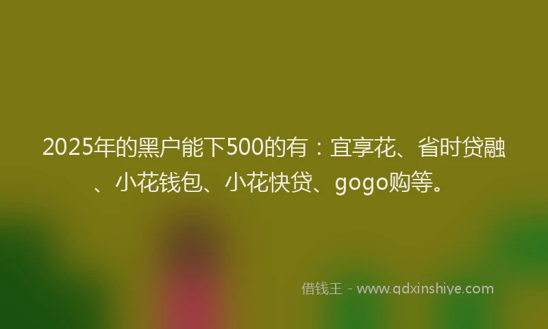 2025年的黑户能下500的有：宜享花、省时贷融、小花钱包、小花快贷、gogo购等。