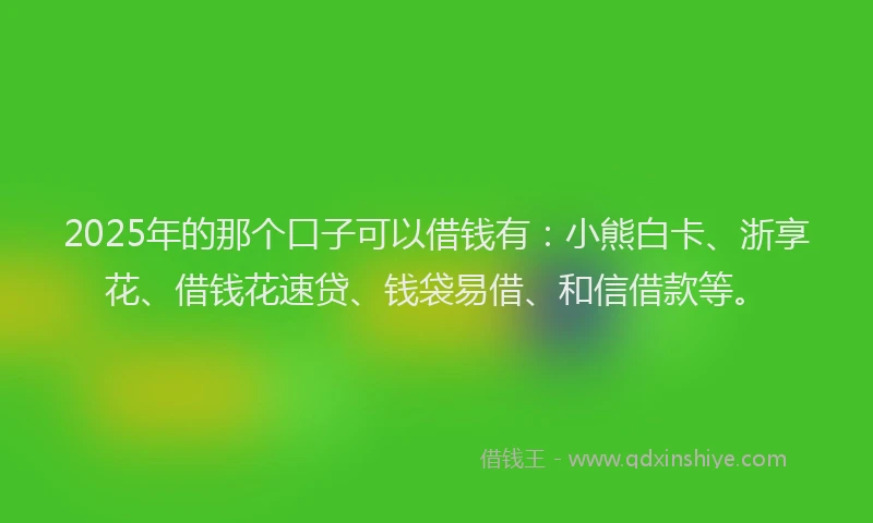 2025年的那个口子可以借钱有：小熊白卡、浙享花、借钱花速贷、钱袋易借、和信借款等。